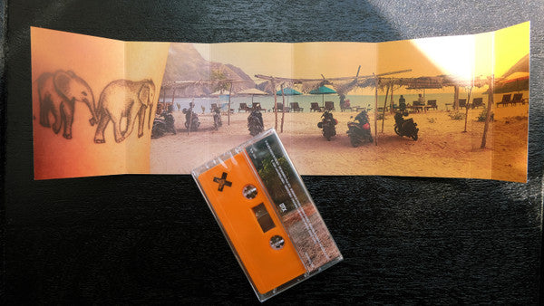 Xinobi - A Collection Of Xinobi Dance Songs - Cassette